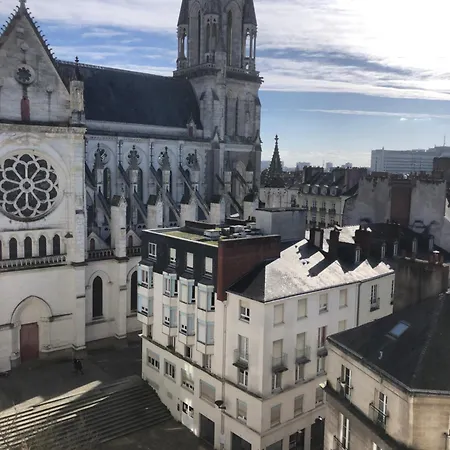 Appt 3 Hyper Centre Tres Calme Tres Clair Quartier Place Royale, Parking Gratuit 아파트 *